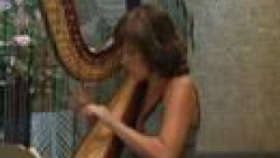 Harp Music Harpist Concert - a bird came flying - anne vanschothorst - harp and soul